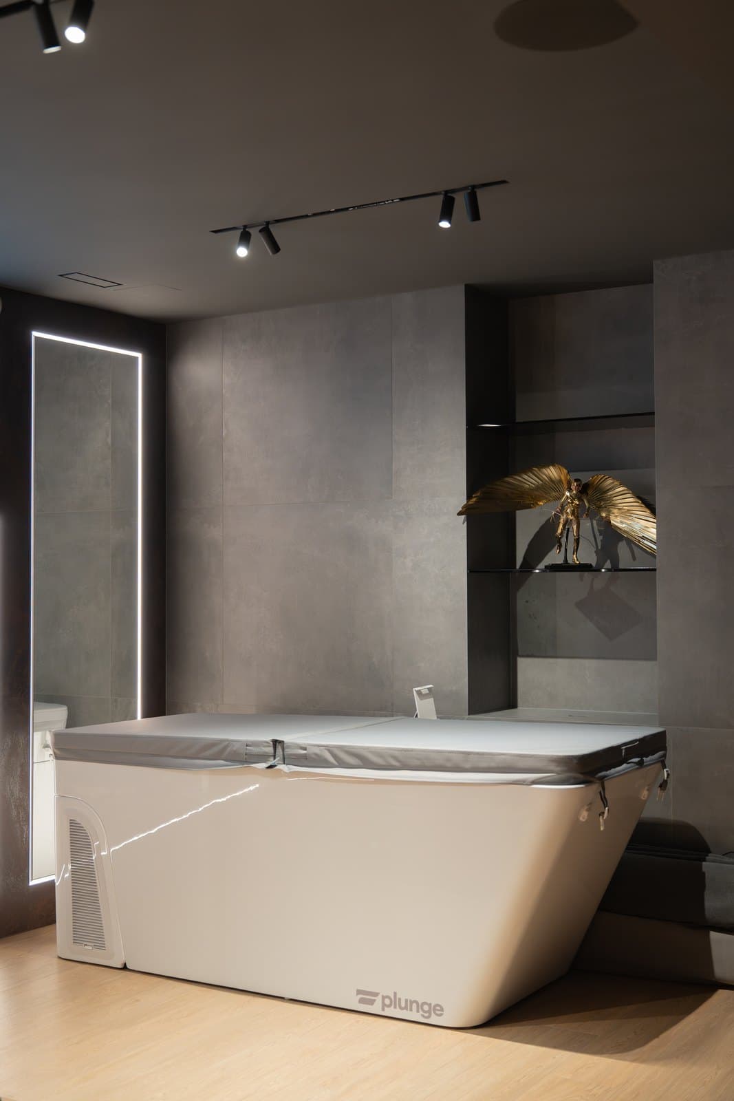 Cold plunge set against textured grey walls with linear lighting