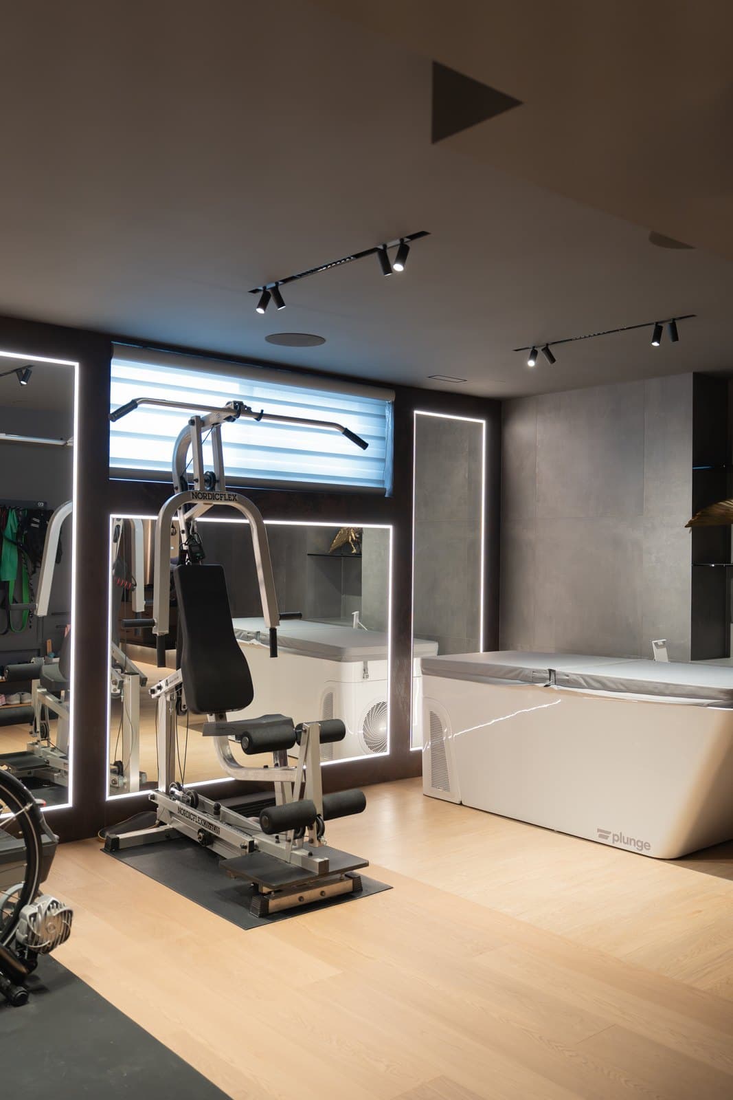 Home gym with training equipment beside the cold plunge